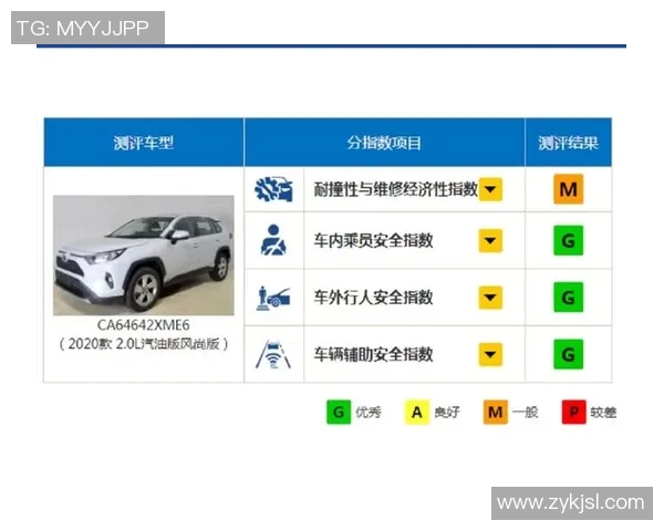洲际杯点评：广州排球队战术分析与表现评估