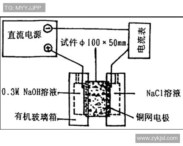 深圳排球队边路渗透战术分析及其对比赛胜负的影响探讨 深圳排球队边路渗透战术分析及其对比赛胜负的影响探讨